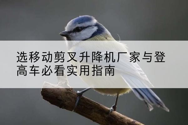 嘉兴电动升降机厂家-选移动剪叉升降机厂家与登高车必看实用指南