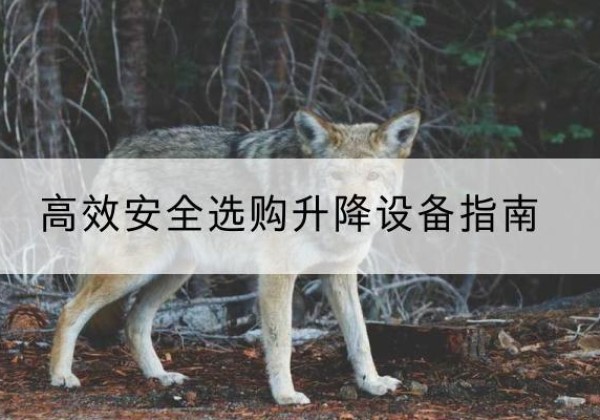 嘉兴升降货梯厂家推荐-*安全选购升降设备指南