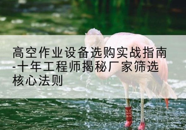 嘉兴剪叉式升降机厂家-高空作业设备选购实战指南-十年工程师揭秘厂家筛选核心法则